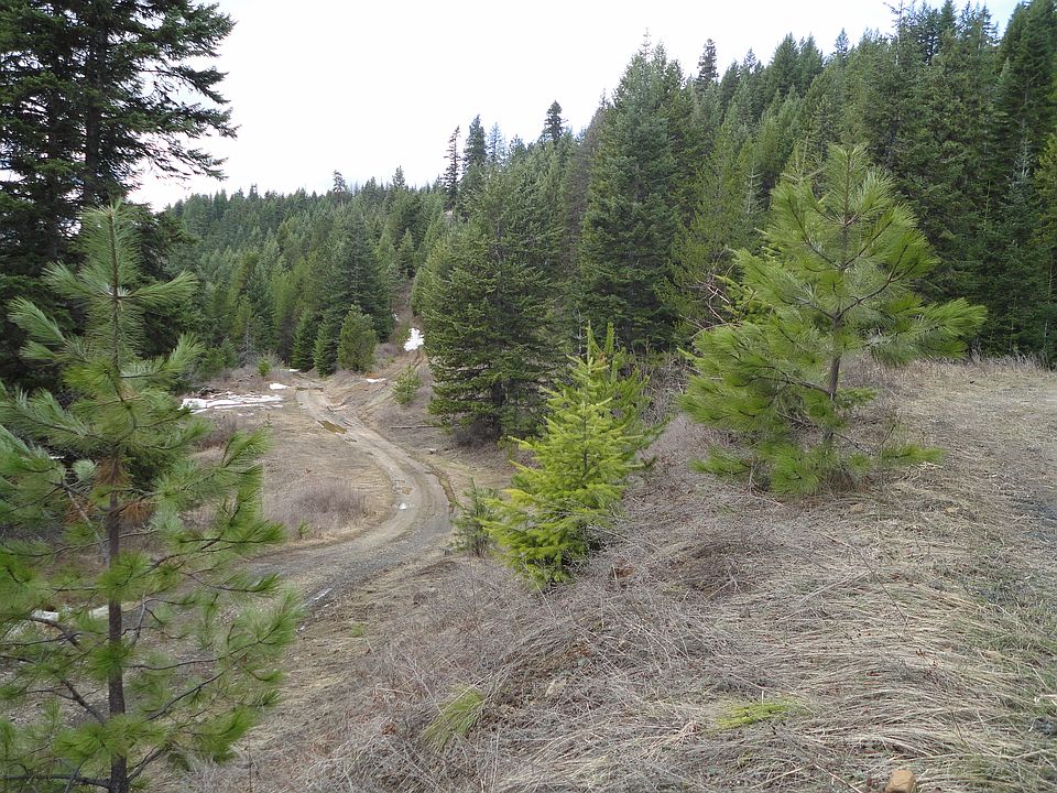 1st image of Flat Creek Road
