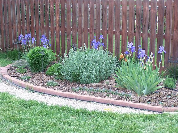 herb garden w/ path that loops yard past 2 raised beds