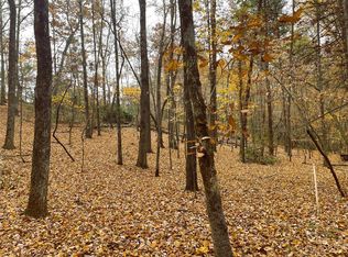 LOT 48 Flynn Ct, Lake Lure, NC 28746