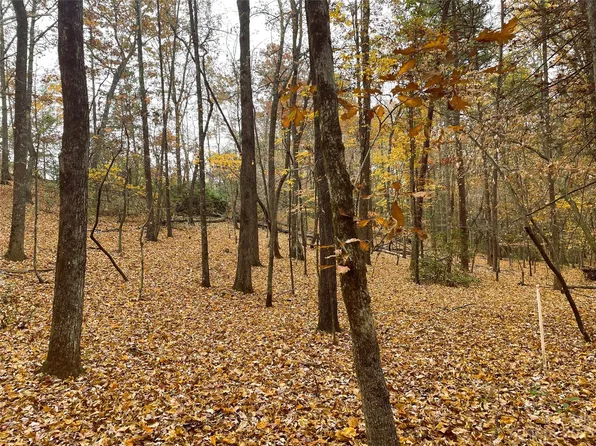 LOT 48 Flynn Ct, Lake Lure, NC 28746