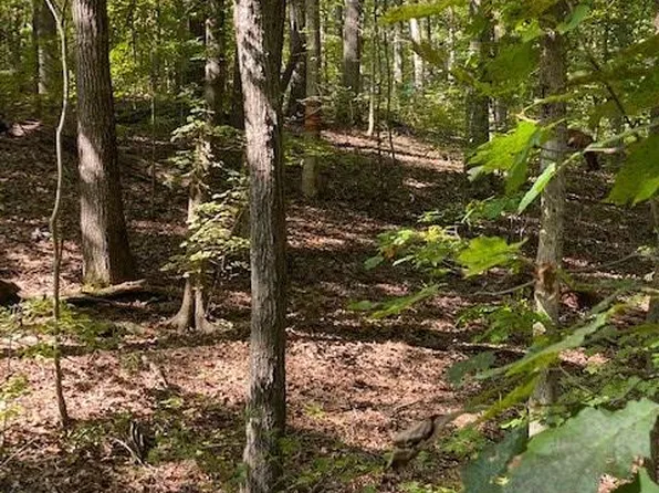 24 Holly Hill Dr, Buffalo Junction, VA 24529