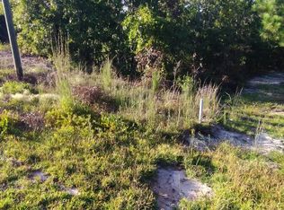 1972 Elgin Dr PARCEL C, Elgin, SC 29045