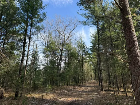 PARCEL Critter Trl #D, Manistee, MI 49660