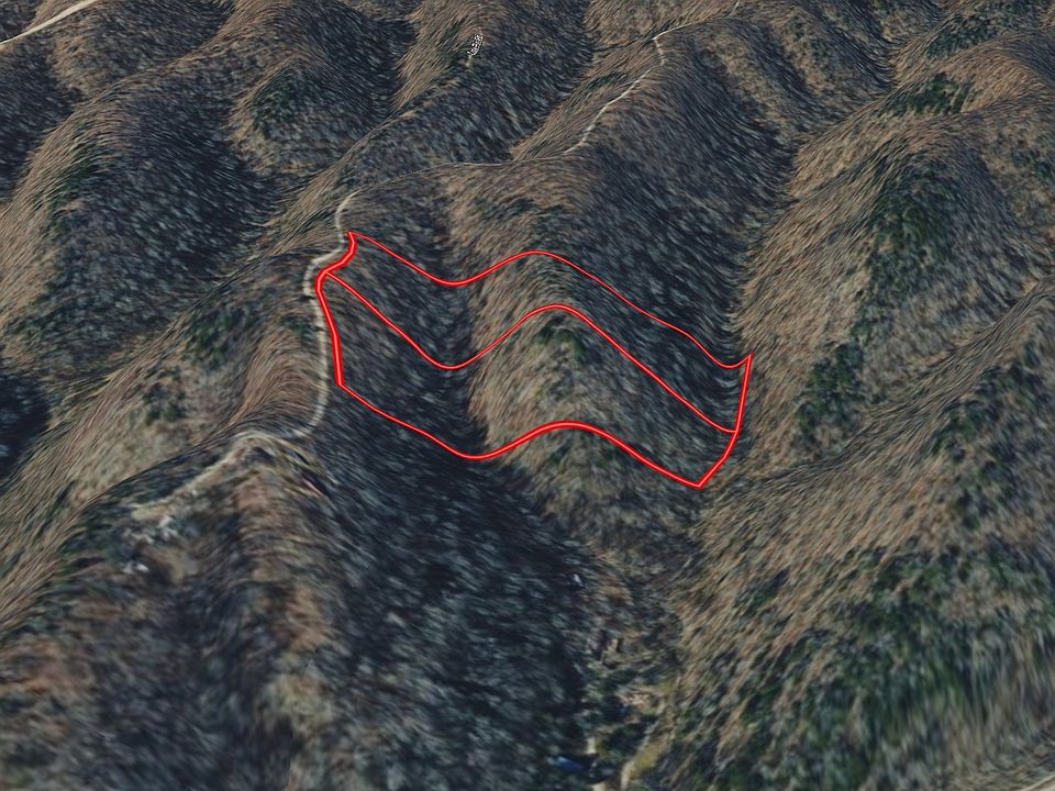 2nd image of 825 Timber Ridge Ln