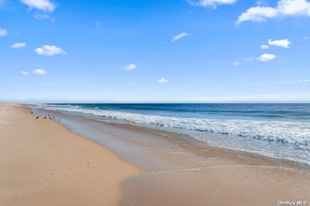  and the world renowned Hamptons Ocean Beaches
