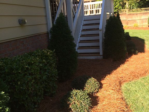 Professional Landscaping