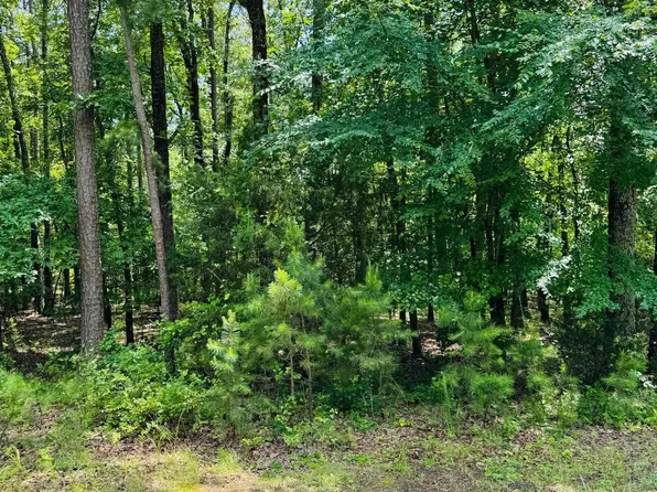 (undisclosed Address), Heber Springs, AR 72543