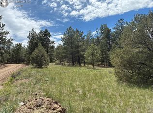 891 Driftwood Rd, Westcliffe, CO 81252