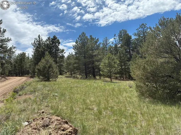 891 Driftwood Rd, Westcliffe, CO 81252