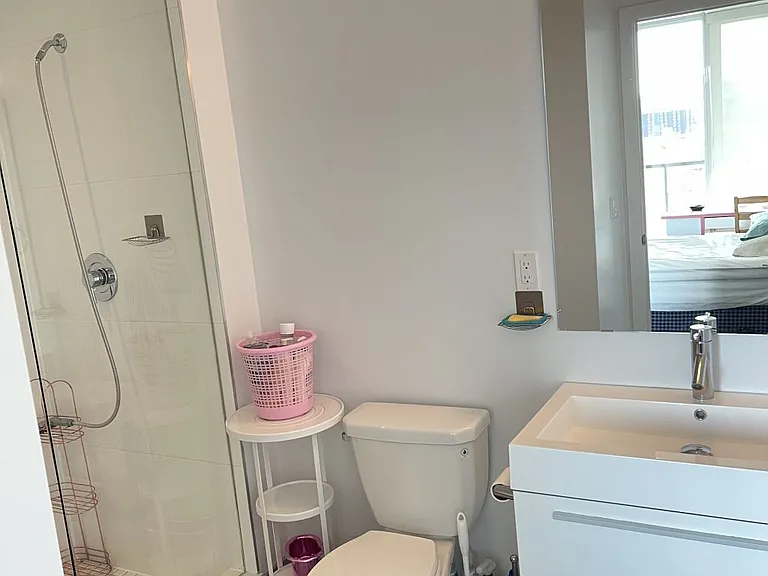 297 College St #710 — Photo 15