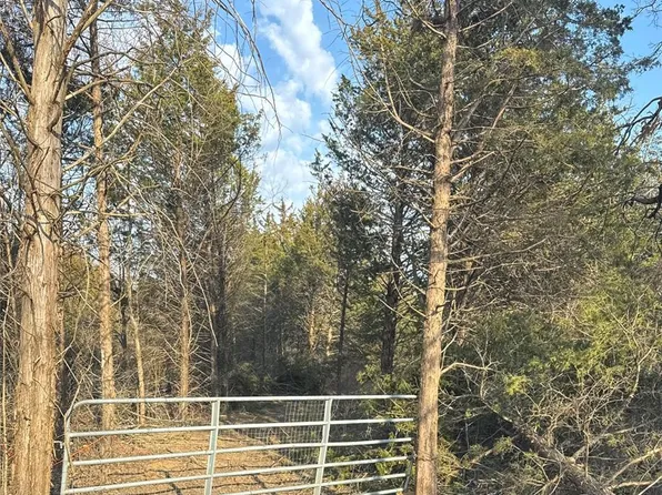 2556 Birch St, Doe Run, MO 63637