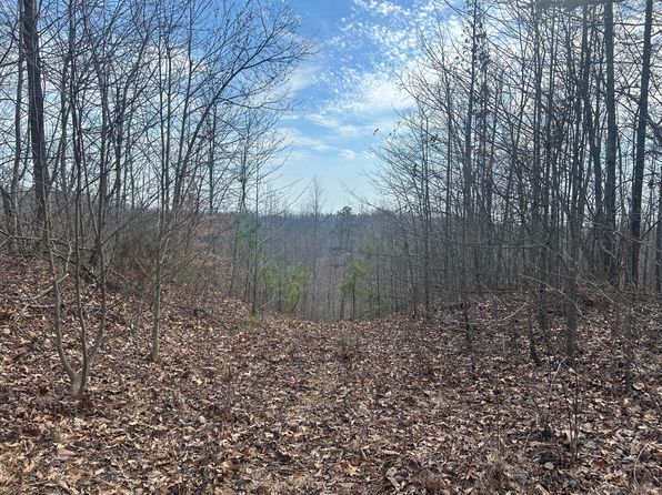 0 Left Fork Cains Creek Rd, Blaine, KY 41124