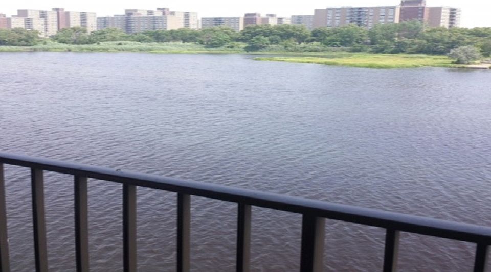 1st image of 10839 Seaview Ave APT 32D