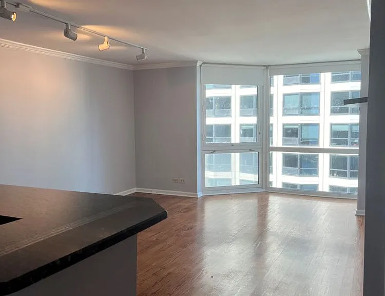 195 N Harbor Dr #3807 — Photo 22