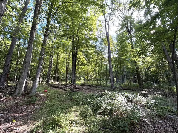 0 Ladd Road, Pownal, VT 05261