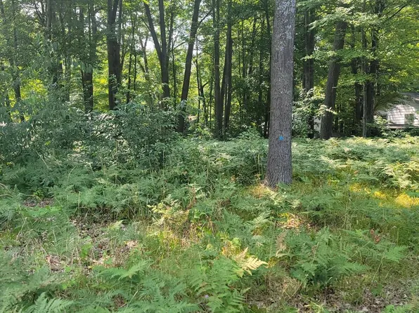 Xxx Springwood Dr, Prudenville, MI 48651