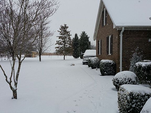 4th image of 104 Duzan Dr