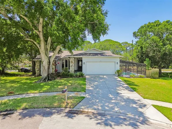 1421 Ironworks Ln, Tarpon Springs, FL 34689
