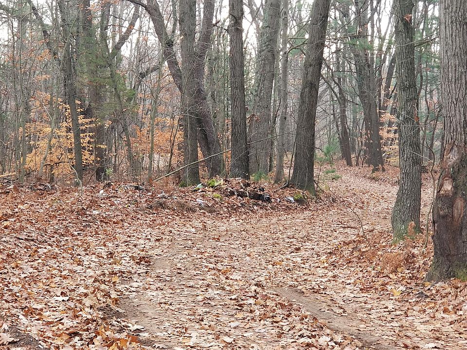 54th St, Grand Junction, MI 49056 Zillow