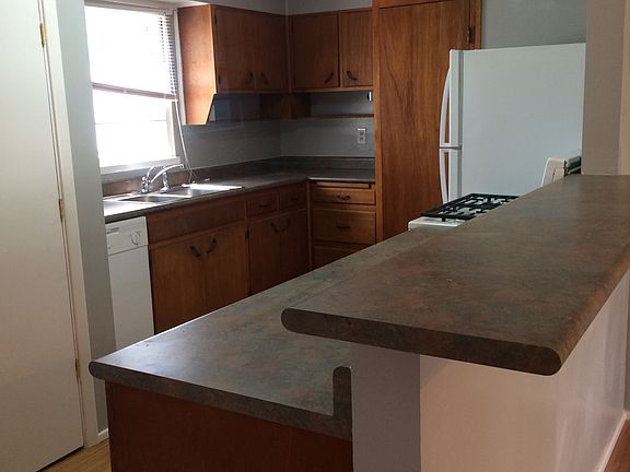 Kitchen features a furnished gas stove, refrigerator, and di