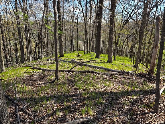 5th image of xxx Wagon Trail Rd