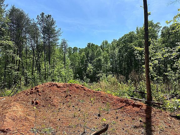 3rd image of TRACT Pink Dill Mill Rd #A