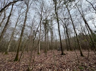 0 County Road 105, Skipperville, AL 36374