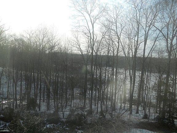 4th image of 11534 Hill Meade Ln