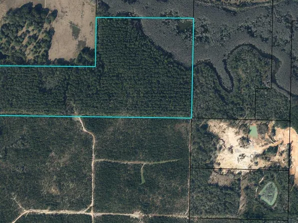 Douglas Ferry Rd, Vernon, FL 32462