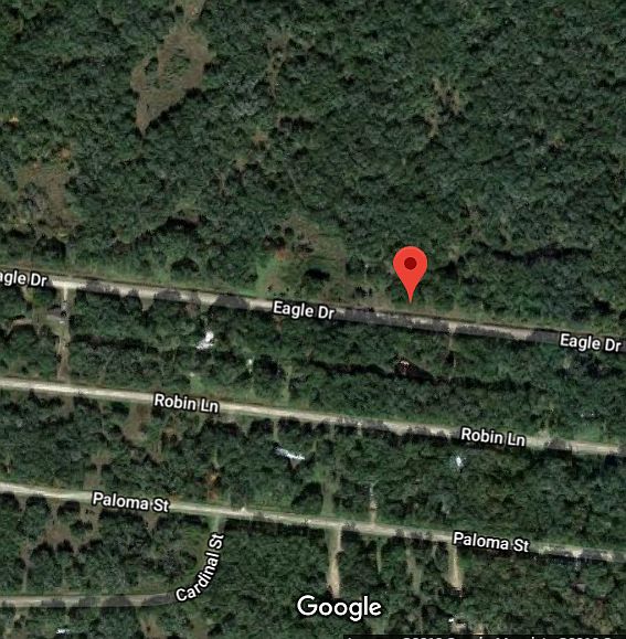 1st image of Eagle Dr