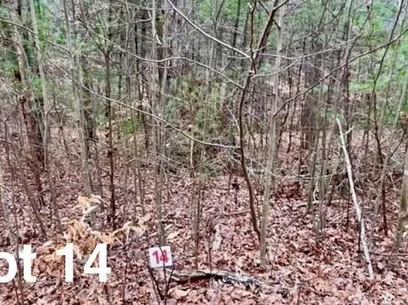 14 Woods Haven Ln #14, Stuart, VA 24171