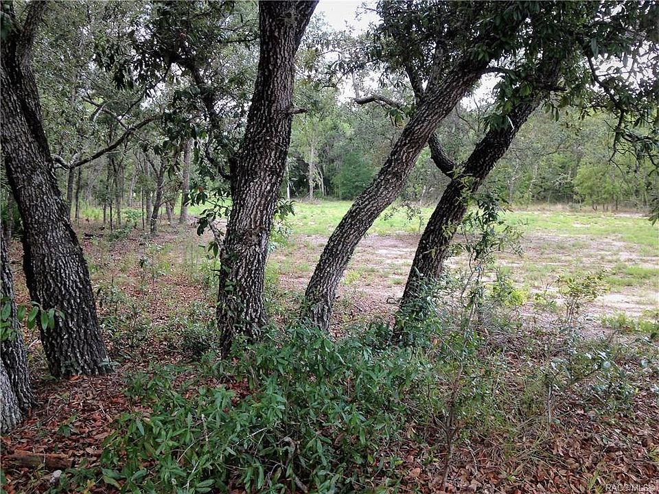 2nd image of 5720 N Lena Dr
