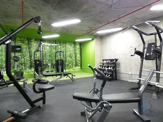 Rented by Gypsy Housing LLC | media 151