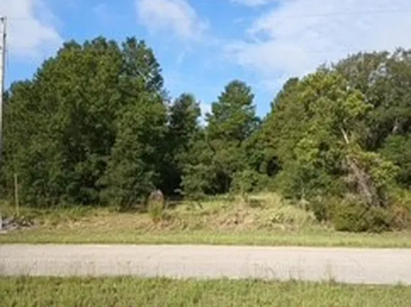 2867 N Nepera Rd, Avon Park, FL 33825