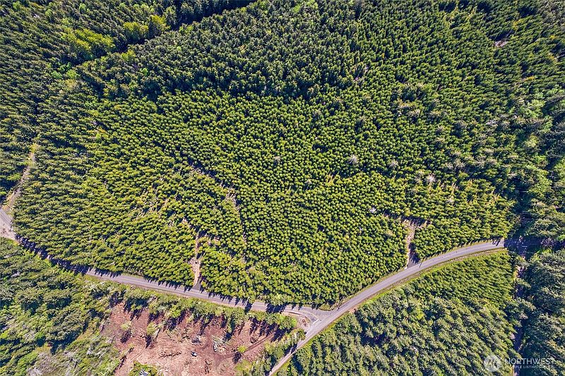 5th image of 0 W Lost Lake Lot 4 Road