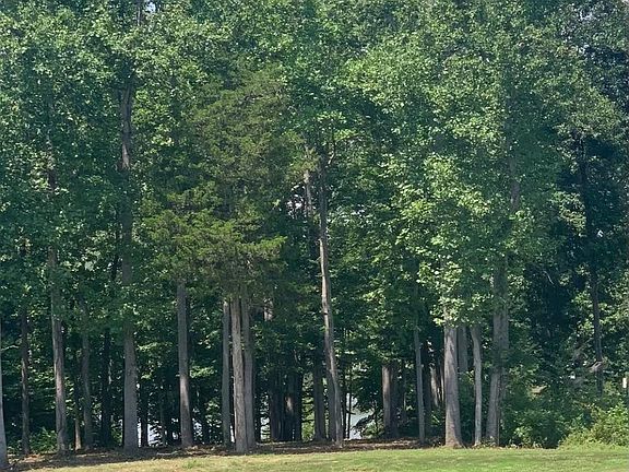 5th image of 18 Shady Oaks Ln