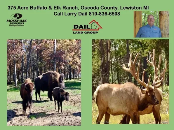4681 Stickfort Rd, Lewiston, MI 49756