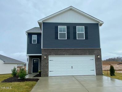 246 Artist Ave, Johnson City, TN, 37615