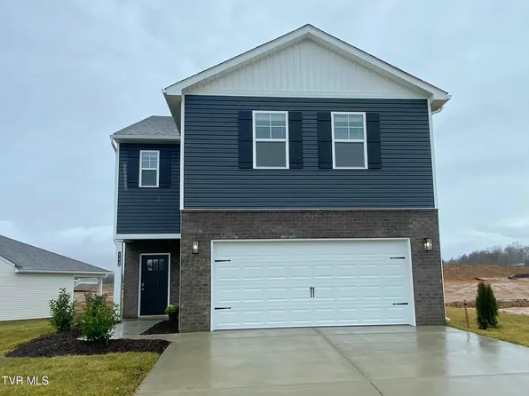 246 Artist Ave, Johnson City, TN 37615
