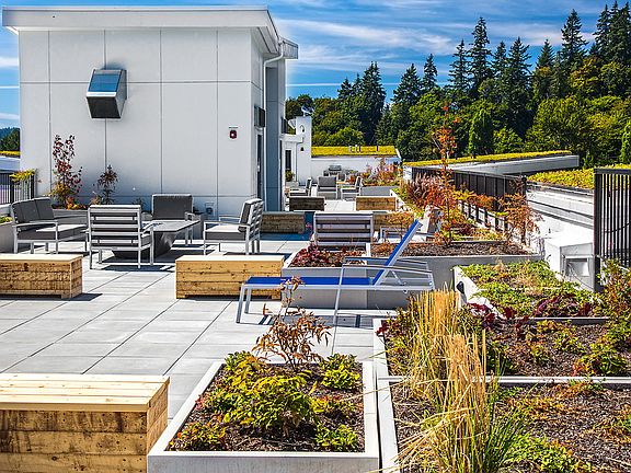 Rooftop terrace with BBQ area, fire pit and sitting areas.
