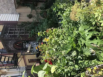 Rented by On My Own (OMO) LLC