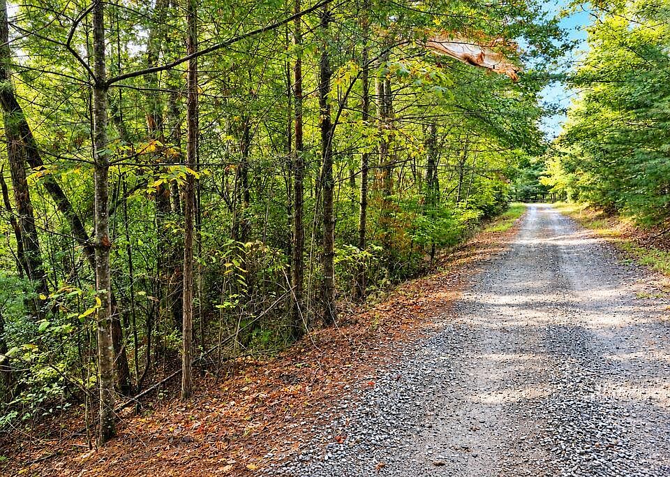 1st image of LOT 12 Hillbilly Holler
