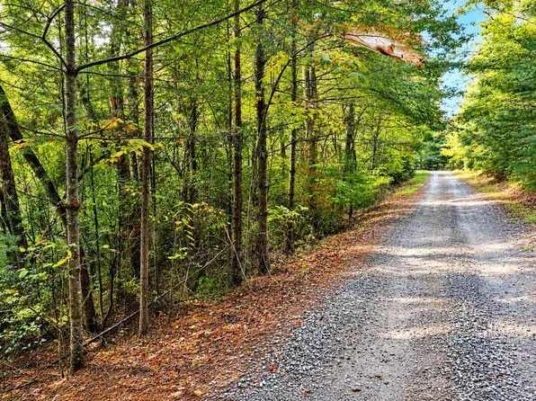 LOT 12 Hillbilly Holler, Blue Ridge, GA 30513