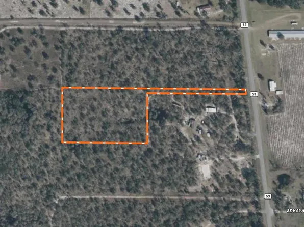 Vacant S Cr 53, Lee, FL 32059