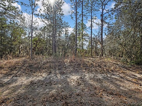 5th image of 3921 N Longvalley Rd