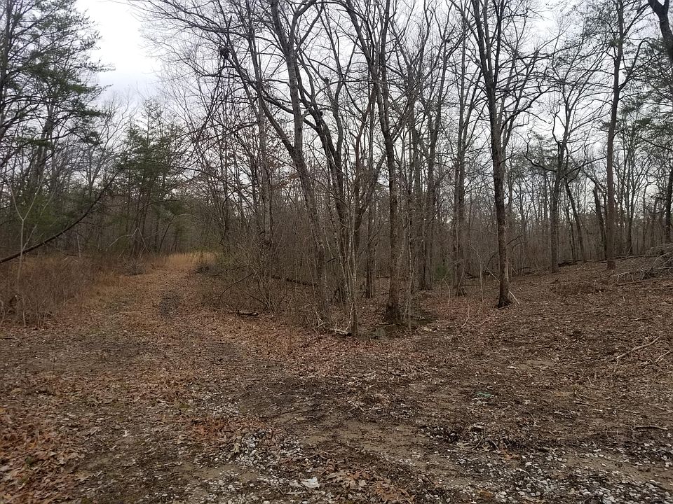 2nd image of Walnut Dr