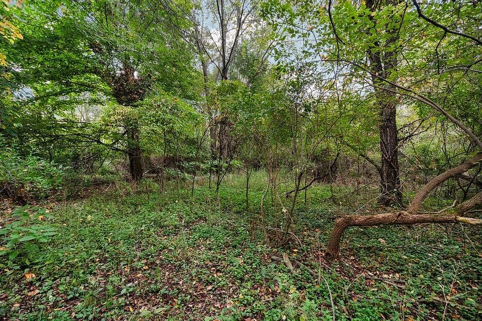 Lot 32&37 N Ann St, photo 9