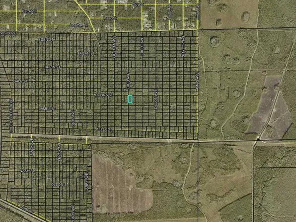 Donna St, Hastings, FL 32145