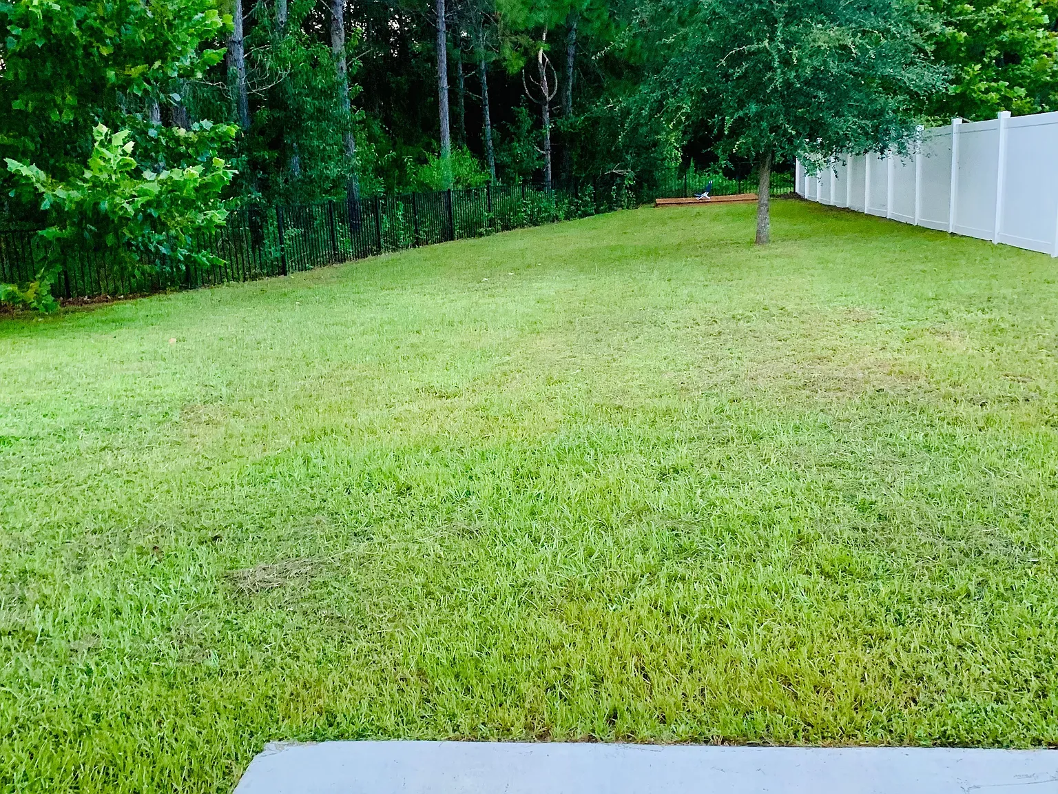 4 bed, 1508 sqft, $1,970 — Photo 3