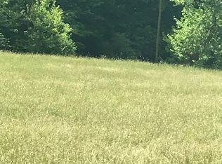 1109 Walnut Frk, Alum Bridge, WV 26321